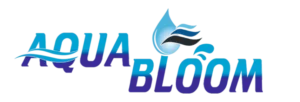 bitmap in aqua box 300x102